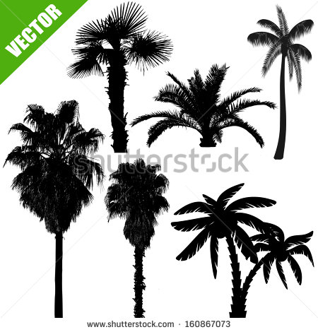 Palm Tree Silhouette Vector