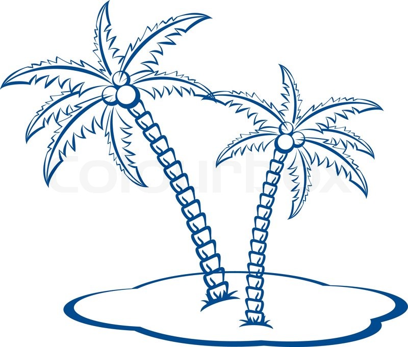 Palm Tree with Coconuts