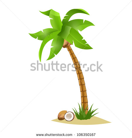 Palm Tree with Coconuts