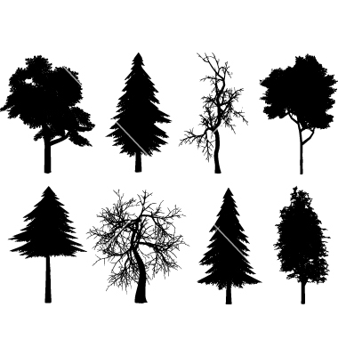 Pine Tree Silhouette Vector