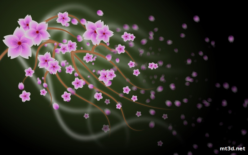 Pink Cherry Blossoms Drawing Pink Cherry Blossoms Drawing