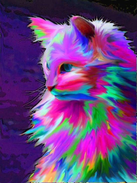 Rainbow Neon Cat