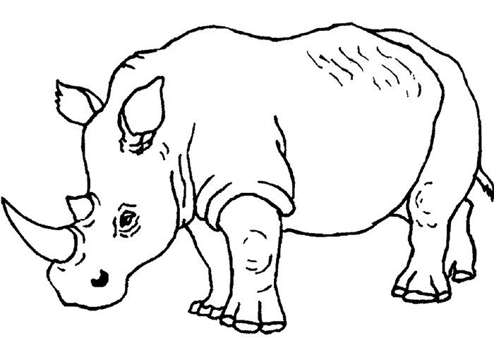 Rhino Coloring Pages Printable