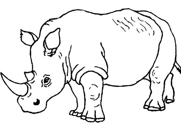 13 African Animal Templates Images Animal Cut Out Template African 13-african-animal-templates-images-animal-cut-out-template-african