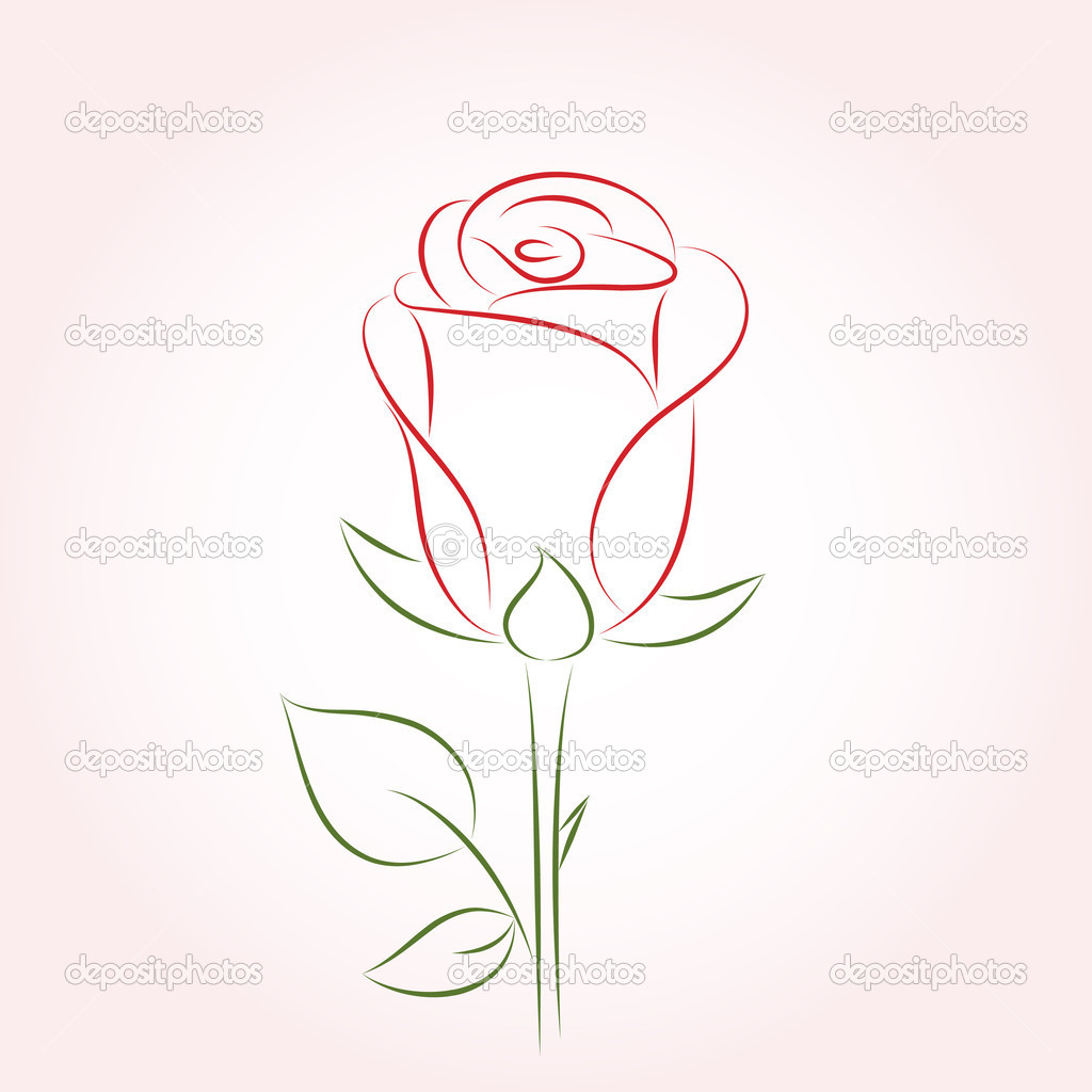 Roses Vector Illustration