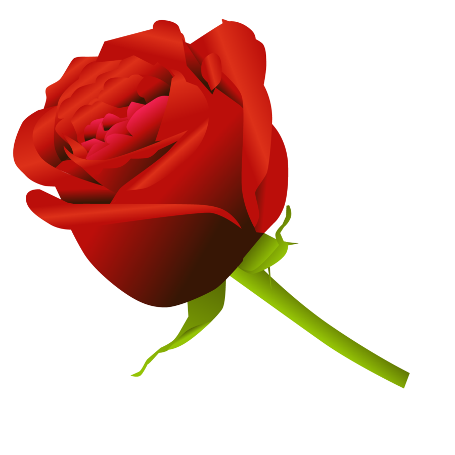 17 Simple Rose Vector Images