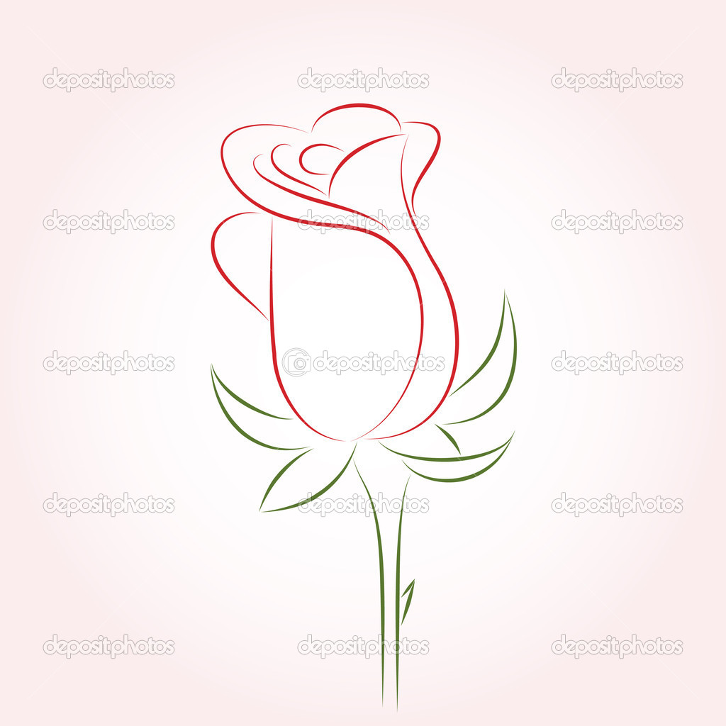 Single Rose Illustration
