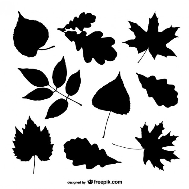 Tree with Leaves Silhouette Vector
