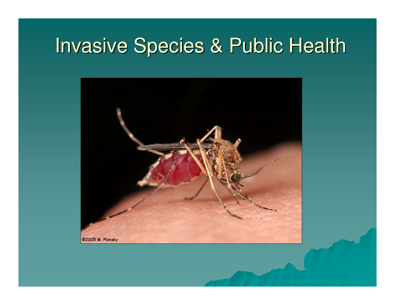 Vector-Borne Diseases