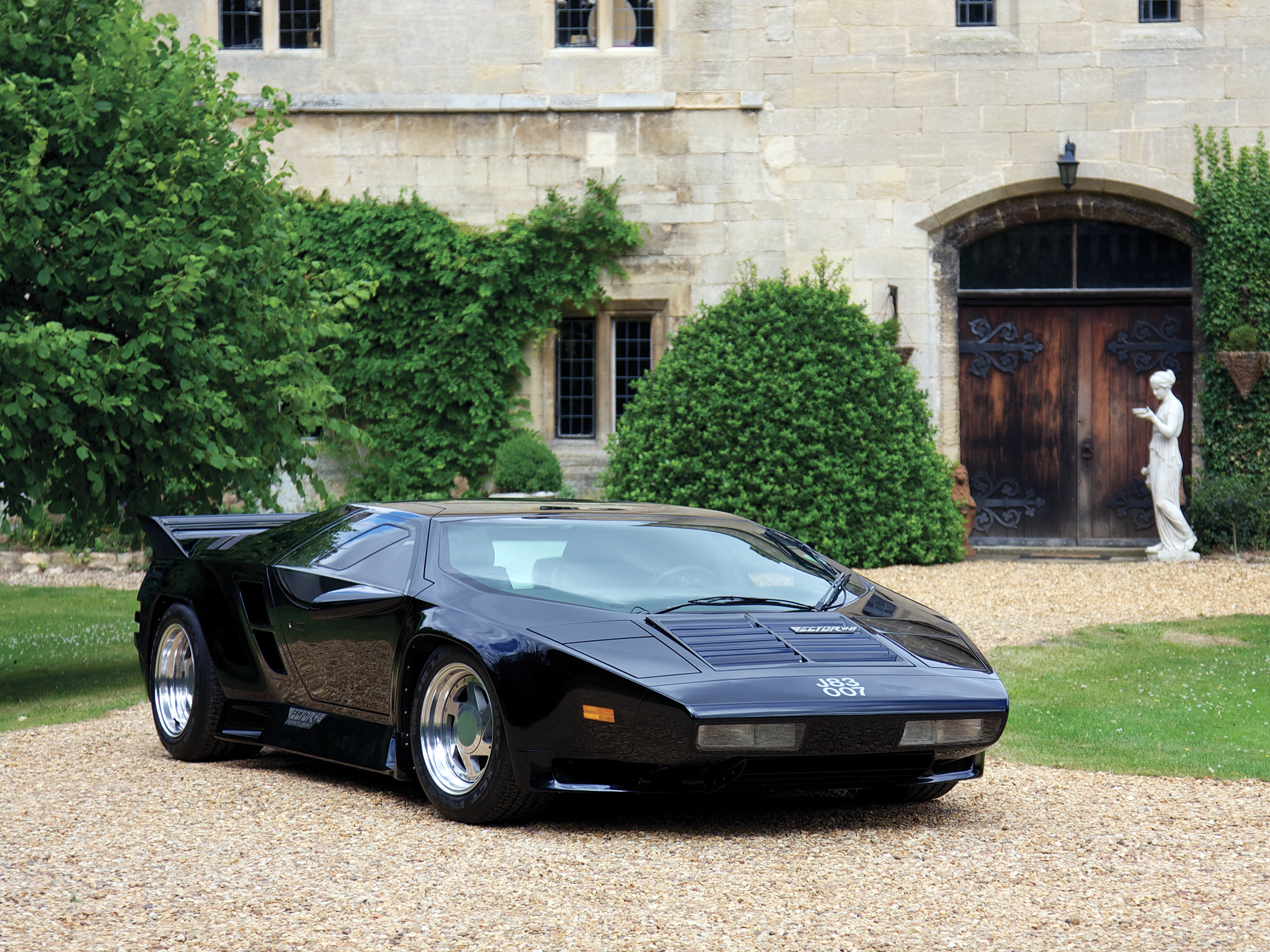 Vector W8 Vector W8