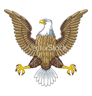 American Bald Eagle Vector
