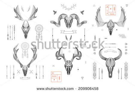 Animal Skull Line Art Vector