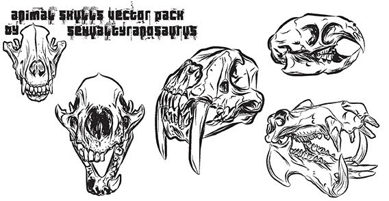 Animal Skull Vector