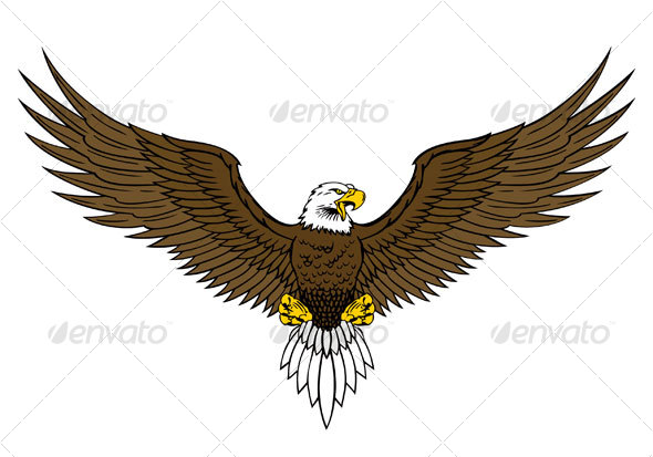 Bald Eagle Wings Spread Drawing