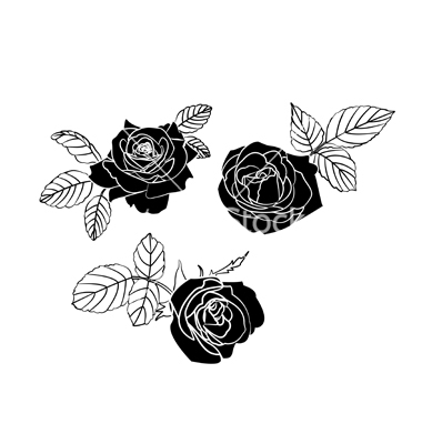 Black Rose Vector
