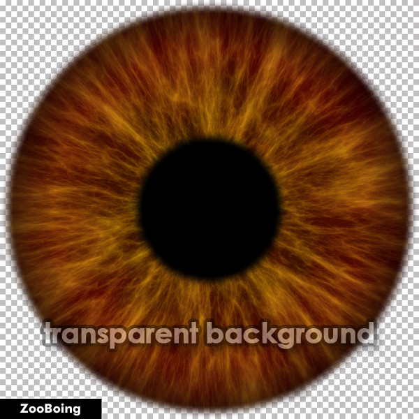 11 Eye Texture PSD Images