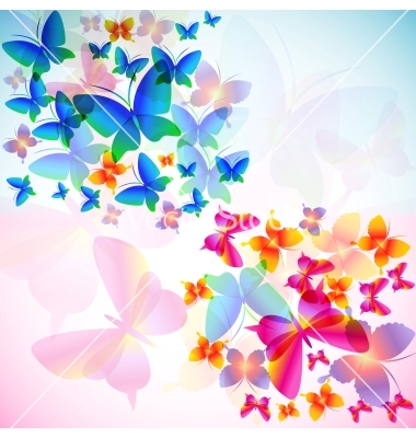 Colorful Vector Butterflies