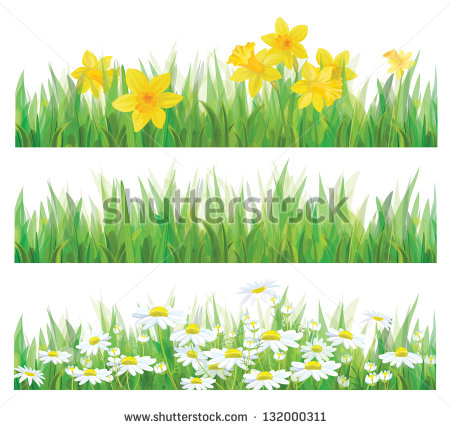 Daffodil Flower Border