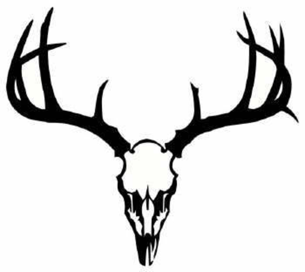 Deer Skull Antler Clip Art