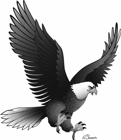 Eagle Clip Art