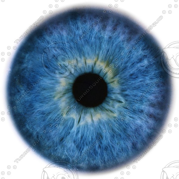 Eye Iris Textures