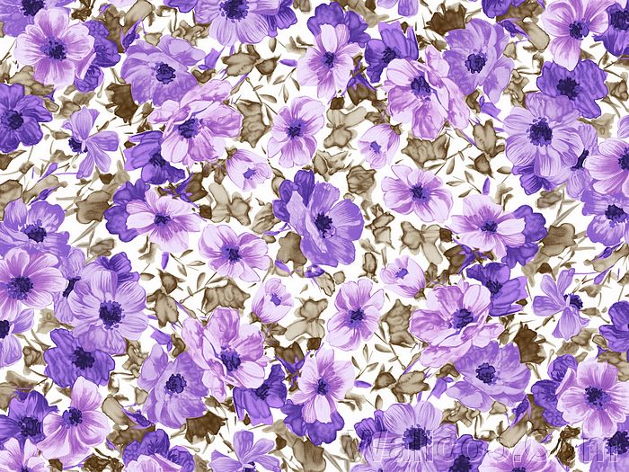 Flower Floral Design Patterns