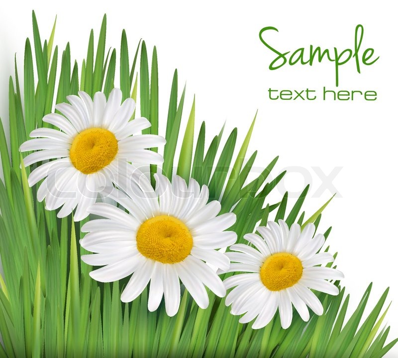 Free Daisy Clip Art Grass Flowers