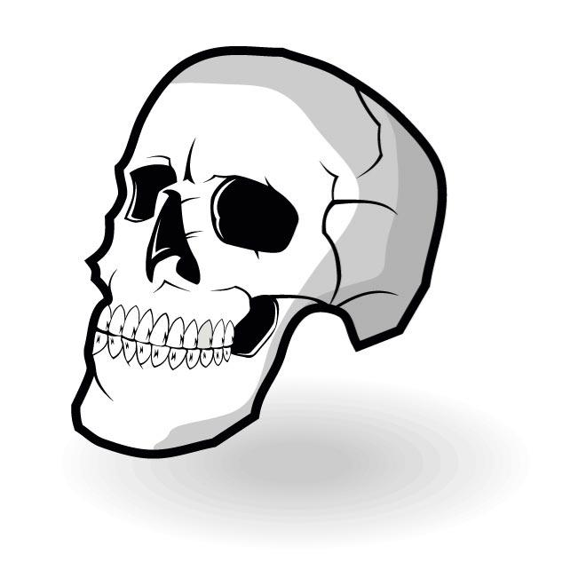 Human Skull Vector Art
