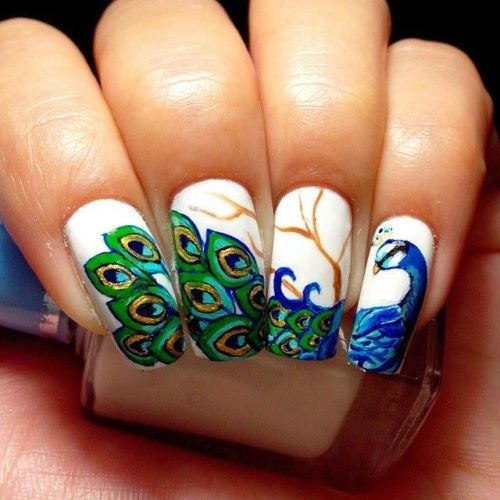 Peacock Nail Art Designs