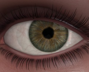 Realistic Eye Texture Brown