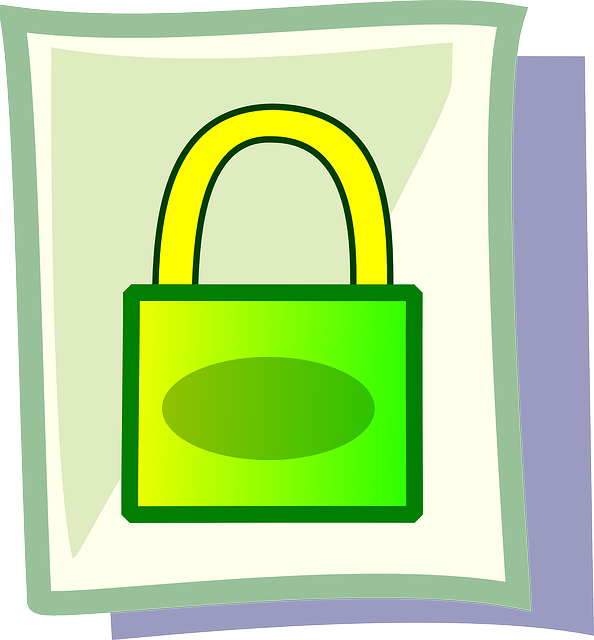 Secure Lock Icon