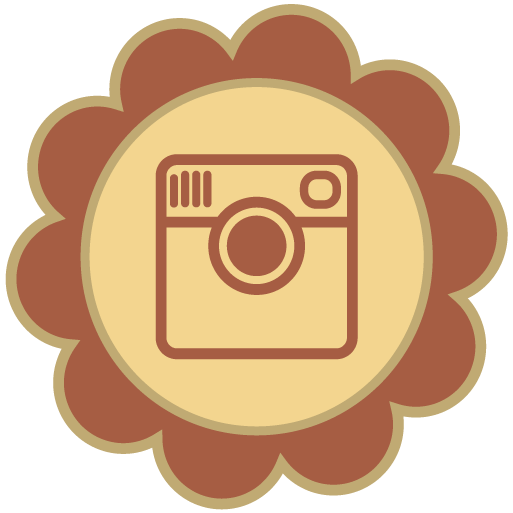 Social Media Icon Instagram