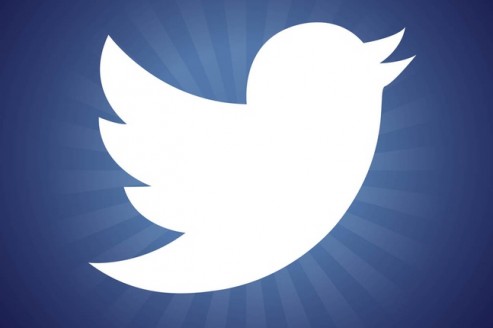 Twitter Bird Logo Vector