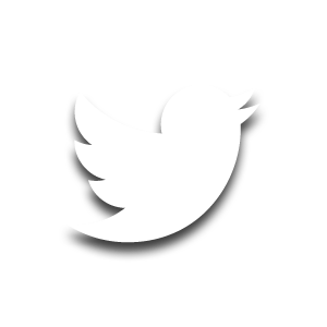 Twitter Bird Outline