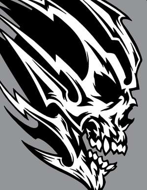 Vector Skull Graphics