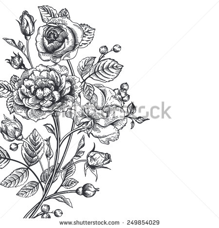 Vintage Black and White Rose Vector