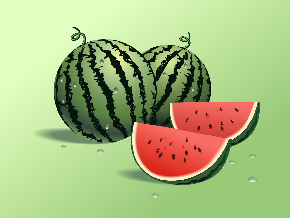 Watermelon Vector