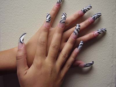 Zebra Acrylic Nail Designs