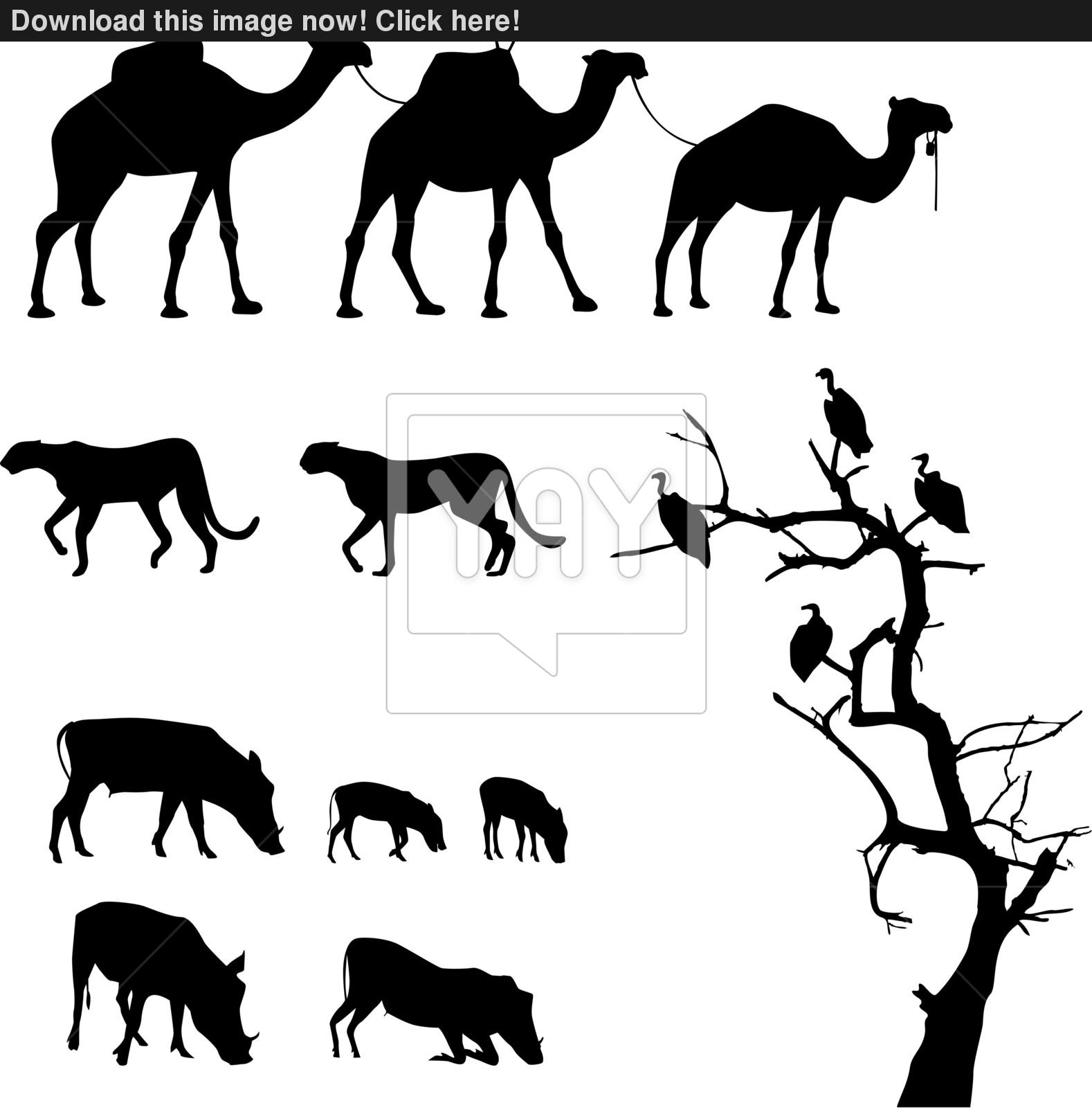 African Animal Silhouettes