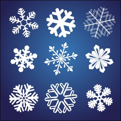 Beautiful Snowflake Patterns Vector