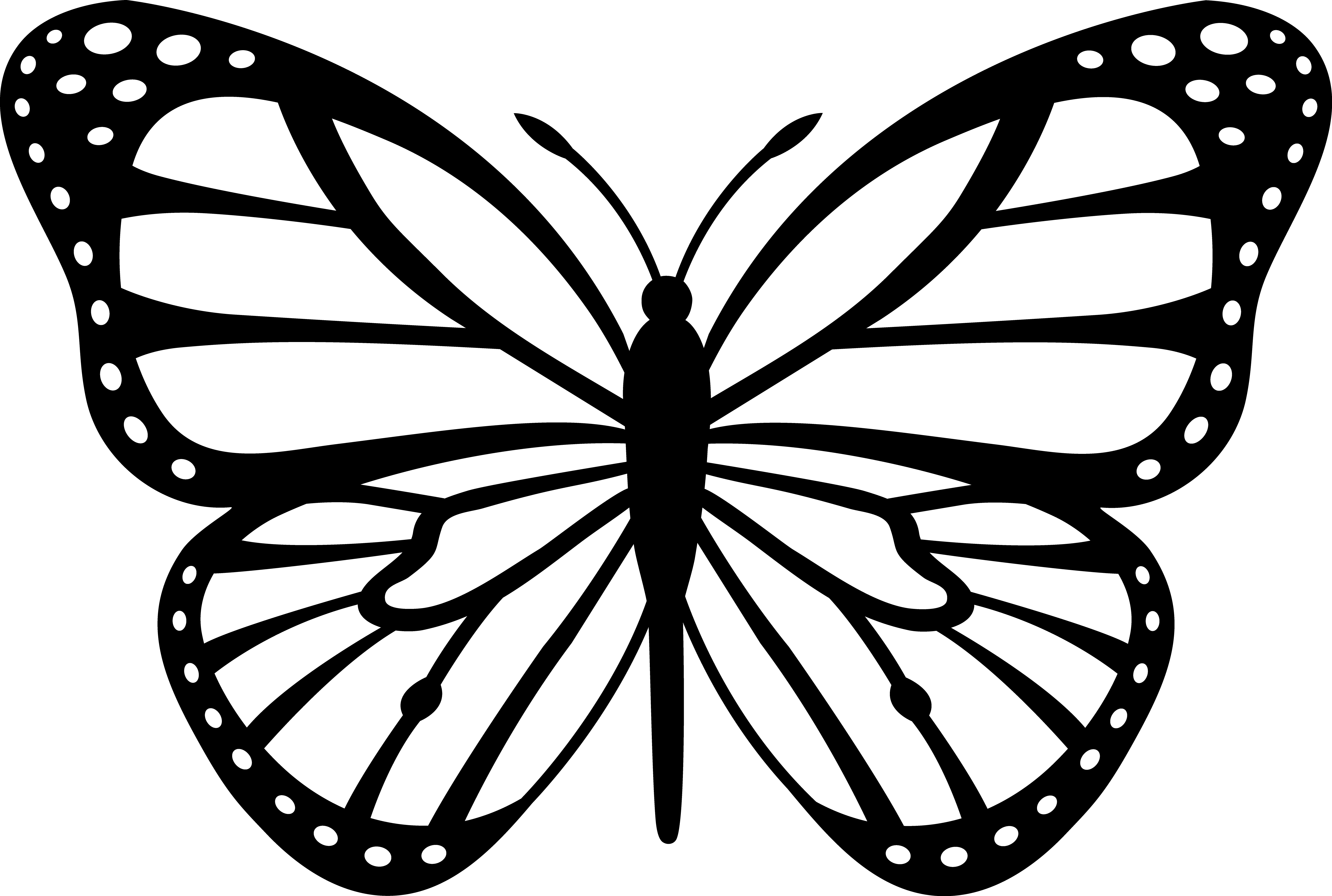 18 Butterfly Vector Art Images