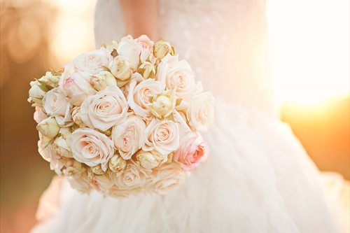 Blush Roses Flowers