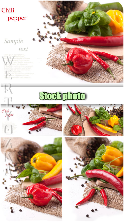 Chili Pepper Mexican Food Clip Art