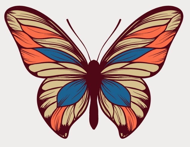 Colorful Butterfly Vector Art
