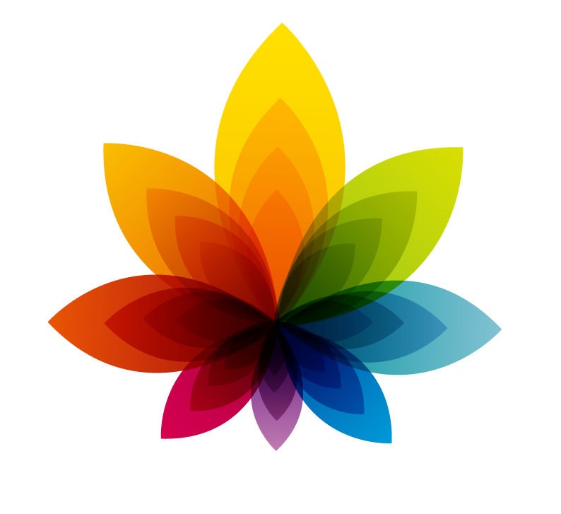 Colorful Graphic Flower Vector