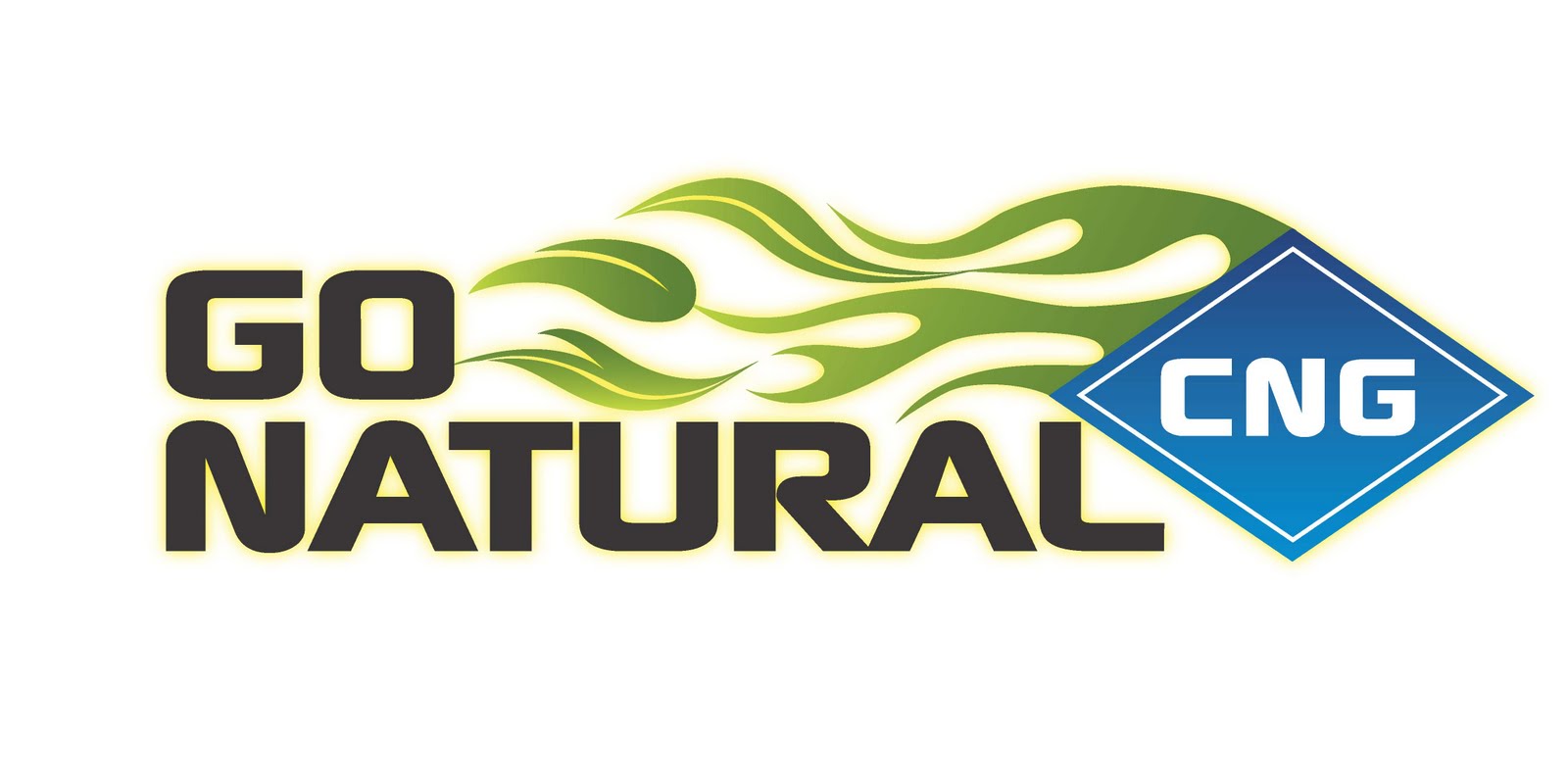 Compressed Natural Gas Logo