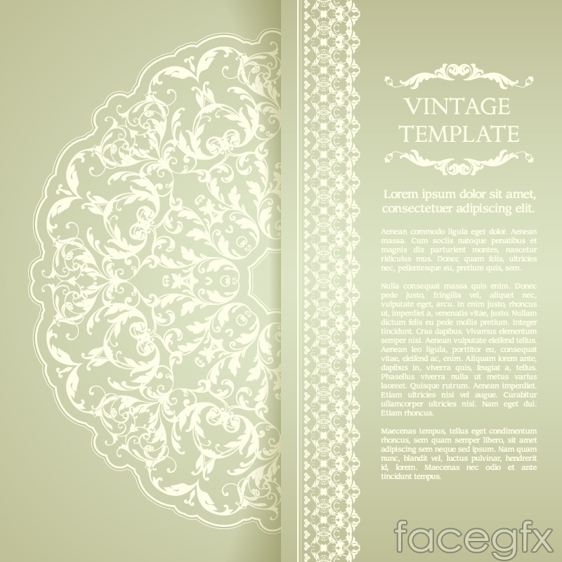 Elegant Vector Patterns