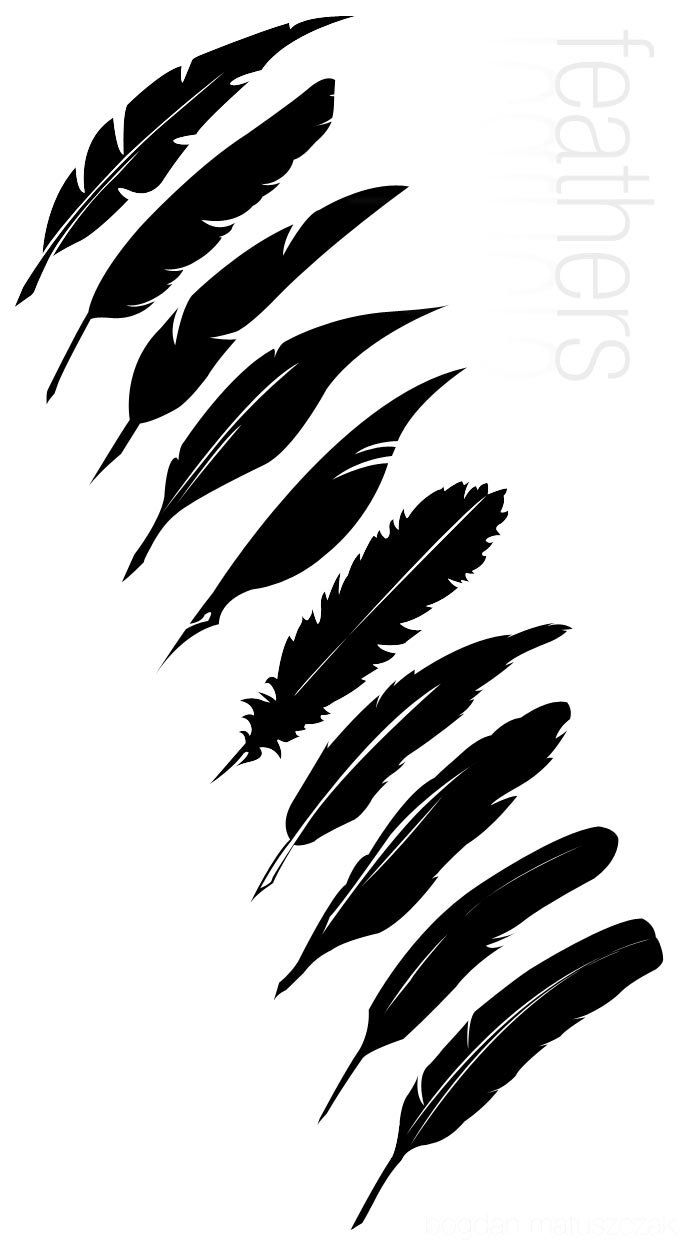 Feather Vector Graphics