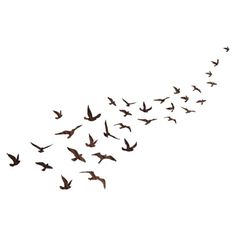 Flock of Birds Wall Decal