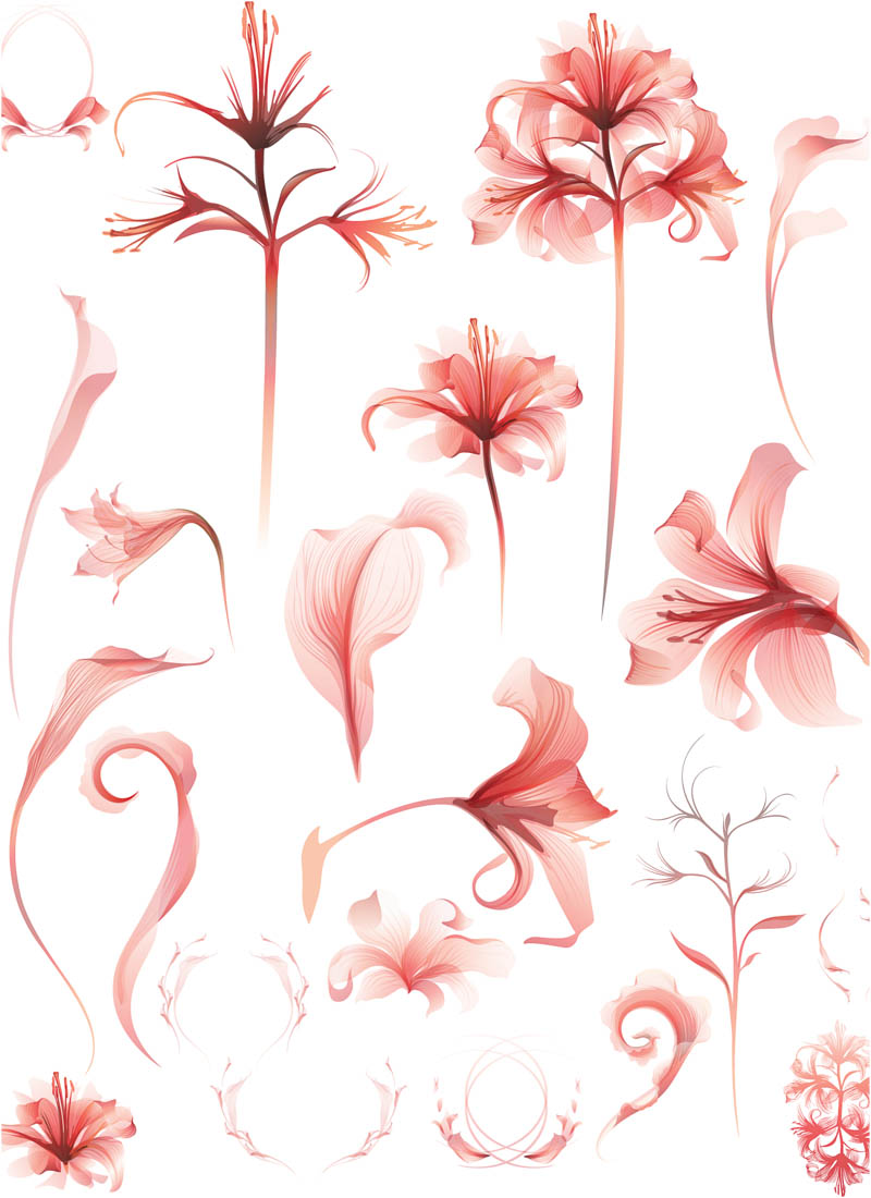 Flower Pink Vector Clip Art